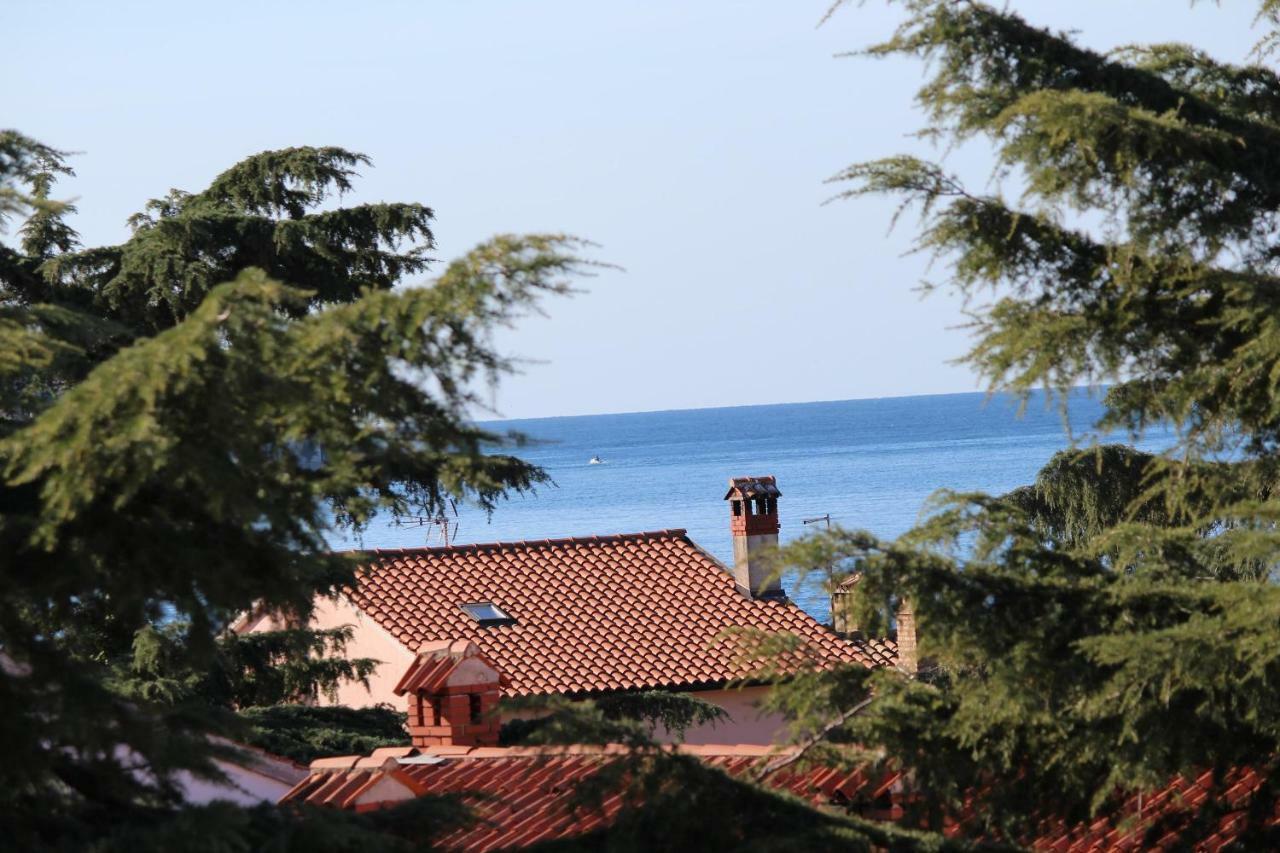 Apartments Villa Nikola *